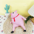 SplashPig: O Porquinho Indestrutível Anti-Stress [COMPRE 1 LEVE 2 ]