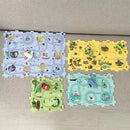 RailCar - Carrinho Elétrico com Trilha Educativa