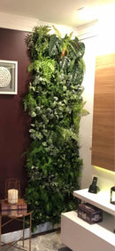 🌿 [PRONTA ENTREGA] Jardim Vertical GreenWall Lux 4,8m² [ KIT CLICK MONTAGEM GRÁTIS ]
