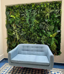 🌿 [PRONTA ENTREGA] Jardim Vertical GreenWall Lux 4,8m² [ KIT CLICK MONTAGEM GRÁTIS ]