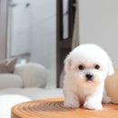 Snoopie - Meu Filhote Robô Realista [ MALA PET DE BRINDE ]