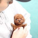 Snoopie - Meu Filhote Robô Realista [ MALA PET DE BRINDE ]