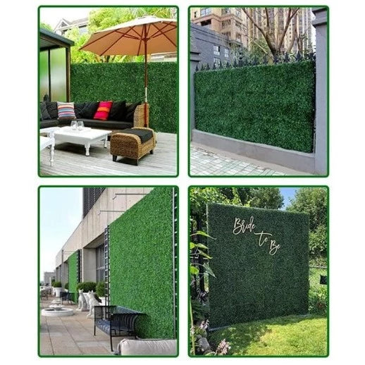 🚀 [PRONTA ENTREGA] Cerca Viva Premium 10x2m [ KIT ENFORCA GATO GRÁTIS ]