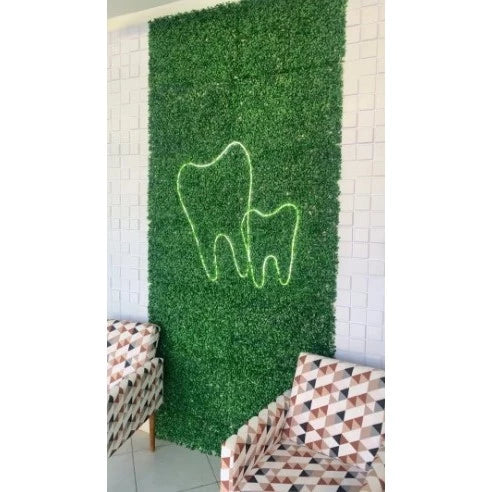 🚀 [PRONTA ENTREGA] Cerca Viva Premium 10x2m [ KIT ENFORCA GATO GRÁTIS ]