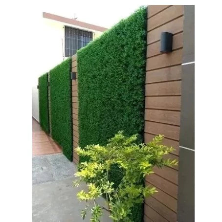 🚀 [PRONTA ENTREGA] Cerca Viva Premium 10x2m [ KIT ENFORCA GATO GRÁTIS ]
