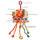 Puxador Educacional Montessori