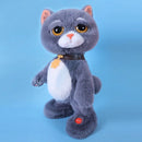 [PROMOÇAO] Gato interativo [COMPRE 1 LEVE 2]