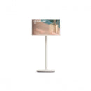 TV Móvel Visionária